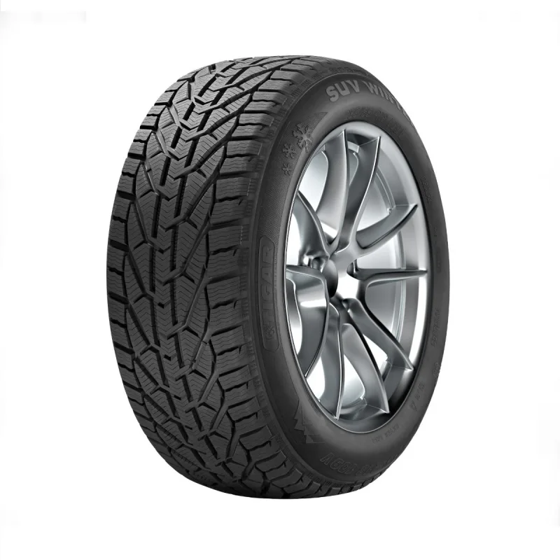 Taurus Zimska guma 205/55 R16 94H XL TL Winter TA